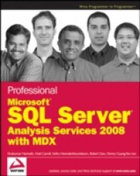 Читать Professional Microsoft SQL Server Analysis Services 2008 with MDX