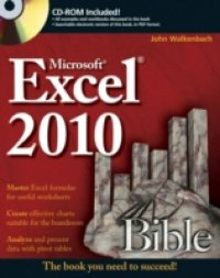 Читать Excel 2010 Bible