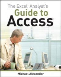 Читать Excel Analyst's Guide to Access