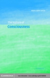 Nature of Consciousness