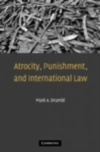 Atrocity, Punishment, and International Law