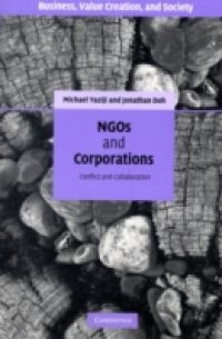 Читать NGOs and Corporations