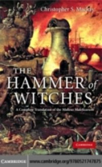 Читать Hammer of Witches