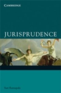 Читать Jurisprudence