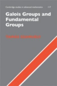 Читать Galois Groups and Fundamental Groups
