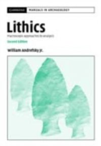 Читать Lithics