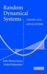 Читать Random Dynamical Systems