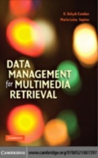 Читать Data Management for Multimedia Retrieval