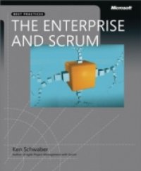 Читать Enterprise and Scrum