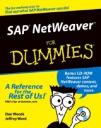 Читать SAP NetWeaver For Dummies