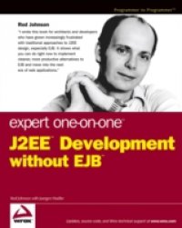 Читать Expert One-on-One J2EE Development without EJB