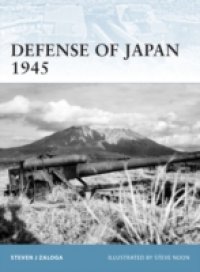 Читать Defense of Japan 1945