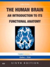 Human Brain