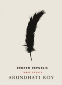 Broken Republic
