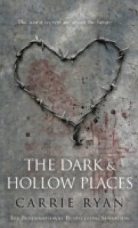 Читать Dark and Hollow Places