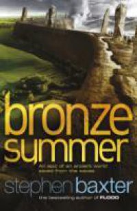 Читать Bronze Summer