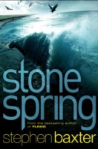 Читать Stone Spring
