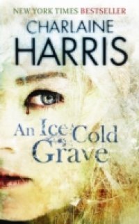 Читать Ice Cold Grave