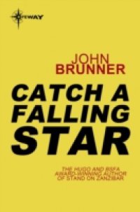 Читать Catch a Falling Star