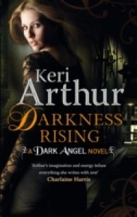 Читать Darkness Rising