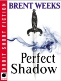 Читать Perfect Shadow