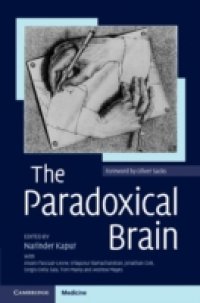 Читать Paradoxical Brain