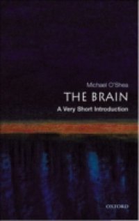 Brain: A Very Short Introduction