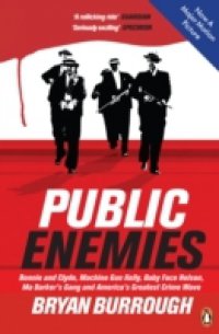 Public Enemies [Film Tie-in]