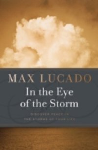 Читать In the Eye of the Storm