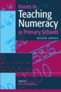 Issues In Teaching Numeracy In Primary Schools
