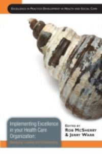 Implementing Excellence in your Health Care Organization