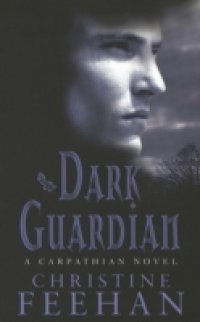 Читать Dark Guardian