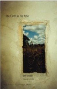 Earth in the Attic