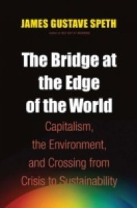 Bridge at the Edge of the World