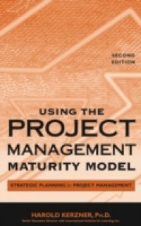 Using the Project Management Maturity Model