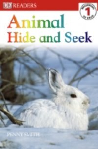 Animal Hide and Seek