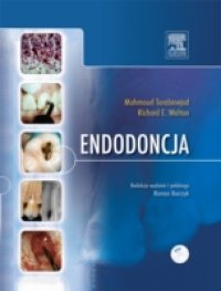 Endodoncja