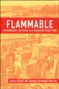 Flammable: Environmental Suffering in an Argentine Shantytown