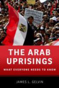 Arab Uprisings: What Everyone Needs to Know