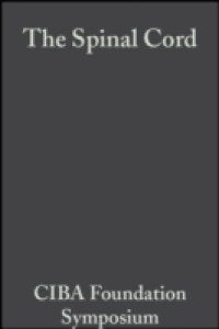 Spinal Cord