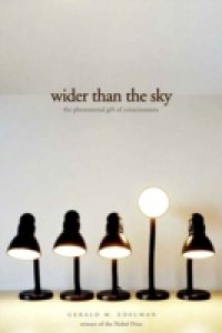 Wider Than the Sky