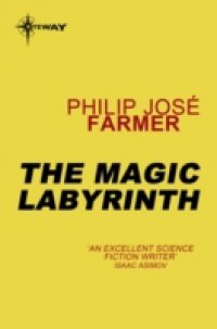 Читать Magic Labyrinth