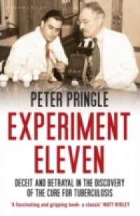 Experiment Eleven