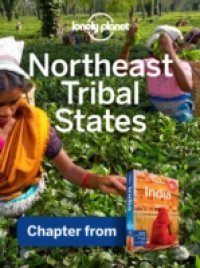 Читать Lonely Planet Northeast States