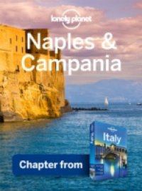 Читать Lonely Planet Campania