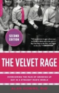 Читать Velvet Rage