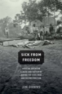 Sick from Freedom: African-American Illness and Suffering during the Civil War and Reconstruction
