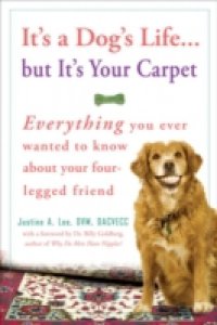 It`s a Dog`s Life…but It`s Your Carpet