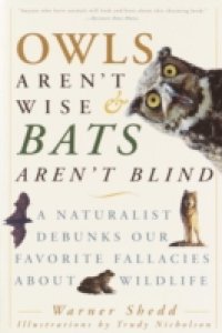 Owls Aren`t Wise & Bats Aren`t Blind
