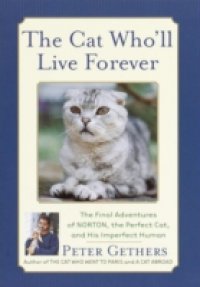 Cat Who`ll Live Forever
